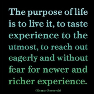 My purpose driven life.
