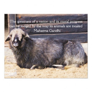Animal Rights Gandhi QUOTE Personalized Invitation from Zazzle.com
