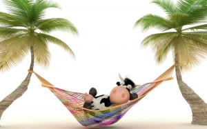 Cow in hammock wallpaper 1680x1050