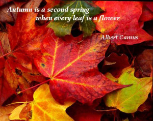 Autumn is a second spring when every leaf is a flower. (Albert Camus)