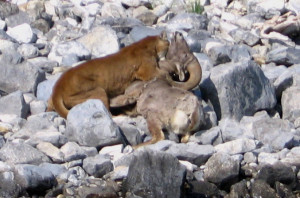 Yuku free message boards