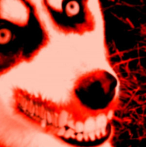 Related Pictures creepypasta smile dog