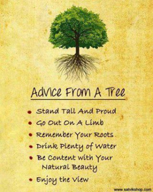 Tree Wisdom
