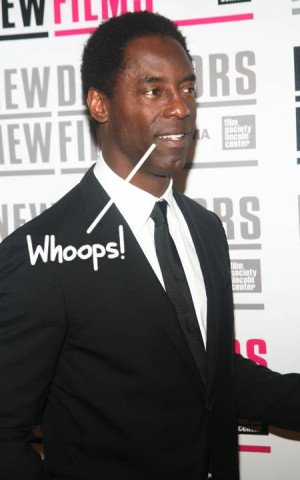 Fired Grey's Anatomy Star Isaiah Washington Admits Slinging Homophobic ...