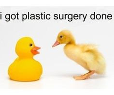 Plastic Surgery///bahahahaha.....I know its not a quote but it is ...