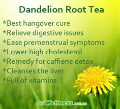 Dandelion Root Tea Benefits More