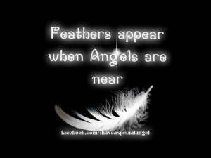 Angeles & Feathers