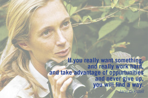 Displaying 19> Images For - Jane Goodall Young...