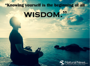 Knowing yourself is the beginning of all wisdom.” - Aristotle