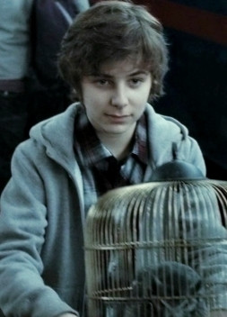 James Sirius Potter