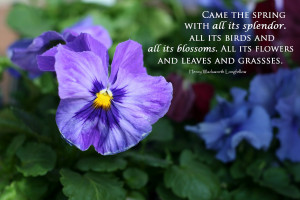 Spring quote, spring quotes, quotes about spring