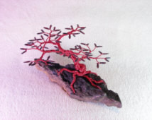 shining rock wilderness mountain la urel ...