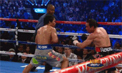 Manny Pacquiao Knocked Out Meme