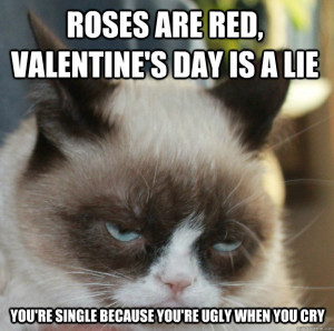... you think? Send us your favorite Grumpy Cat Valentine’s Day memes