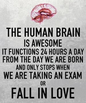 Brain power
