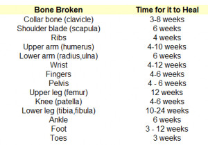 ... http://www.doctorsecrets.com/your-bones/time-to-heal-broken-bone.htm