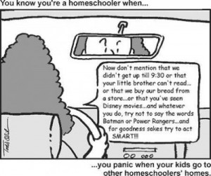 Taking The Mickey Out Of Homeschooling
