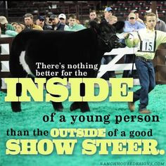 show cattle quotes | Via Taylor Adcock More