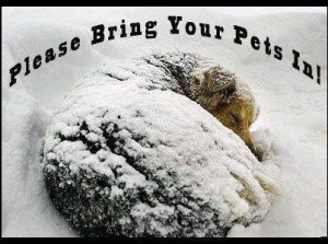 ... cold. So bring your furfriends in when it's cold out, especially