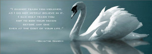 swan quotes
