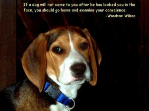 Dog quote about self examination