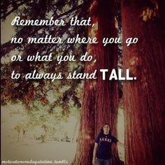 Tall Quotes