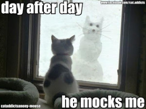 Cute and Funny Pictures and more