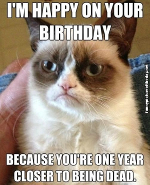 Happy Birthday Funny Grumpy Cat Meme