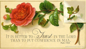 Found on littlebirdieblessings.blogspot.com