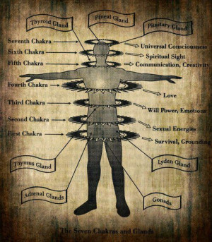 We have 7 Chakras , and they become “opened” through enlightenment ...