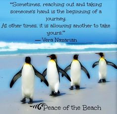 Penguin quote via Peace of the Beach on Facebook at www.facebook.com ...