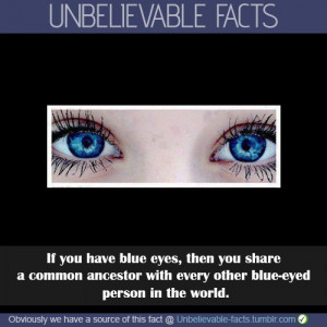 ... of the eye colour of all blue-eyed humans alive on the planet today