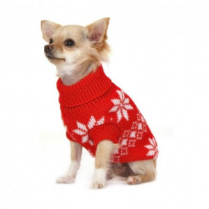 Canine & Co has an irresistible array of the latest doggy fashions and ...