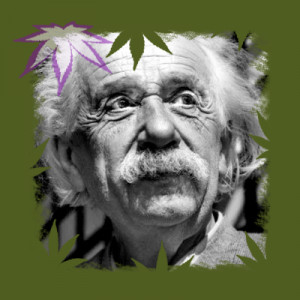 Albert Einstein – Marijuana Quote