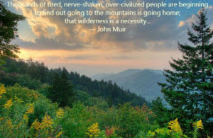 22 of the Best Hiking & Outdoor Quotes to Inspire Adventure