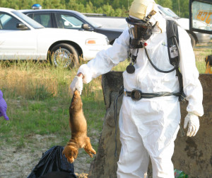 The PETA field killing kit found by police in the back of the PETA ...