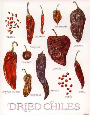 ... Search, Peppers Forum, Mexican Cuisine, Dry Chile, Chili, Hot Peppers