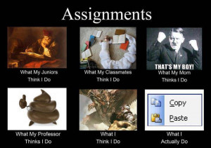 Assignment : what i Actually do :P