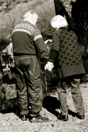 The Narcissistic Continuum