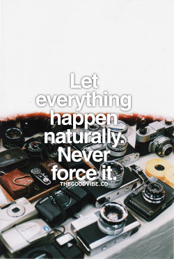 quotes kushandwizdom picture quotes tyographic quotes