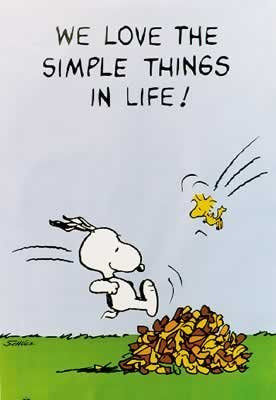 Peanuts_We_Love_The_Simple_Things_In_Life_Poster_Size_24_36_1_Large ...