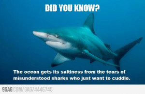 The ocean gets its saltiness from the tears of misunderstood sharks ...