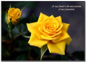NICE FLOWERS WITH NICE QUOTES!