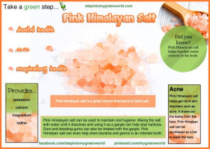 do you use pink himalayan salt salt is essential for life we cannot ...