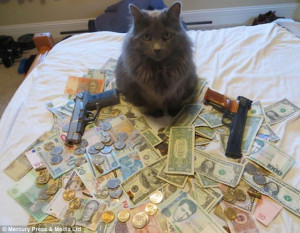 ... pets lap up the good life as they roll around in piles of cash
