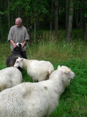 Bovik Farm Sebastian Nurmi with sheep