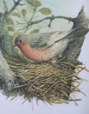 The Secret Garden illustrated by Robert Ingpen