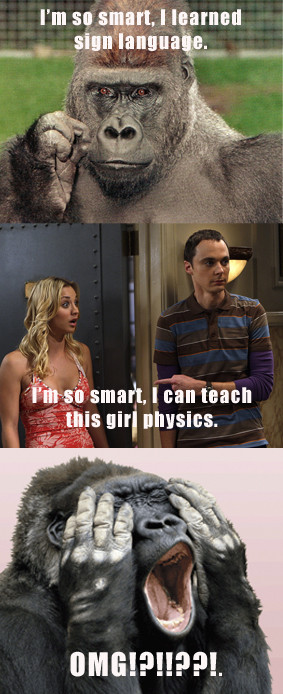 The Big Bang Theory Big Bang Physics