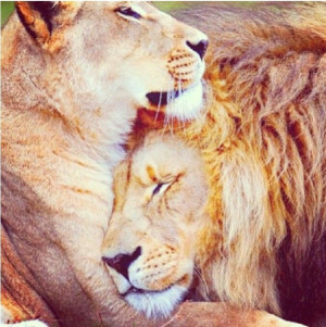 Even a king needs his queen