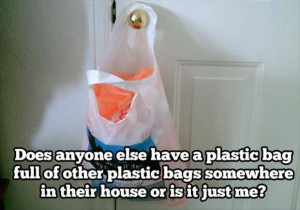 Plastic bag for your plastic bags?